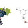 El resveratrol podría mejorar la memoria en personas mayores